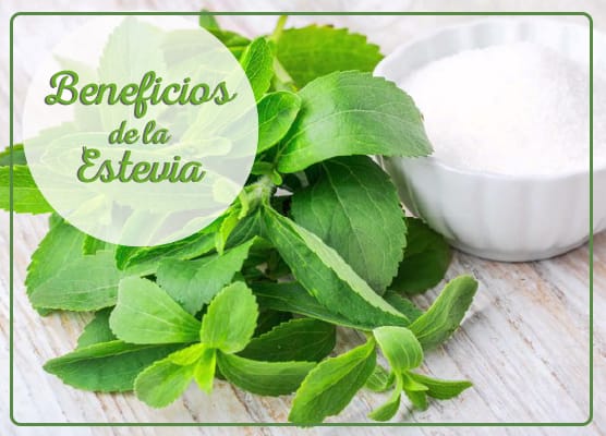 Beneficios de la Estevia